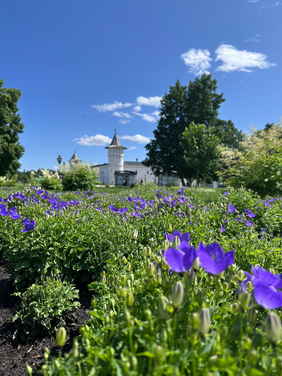 Гостиница Сибирь Тобольск-104
